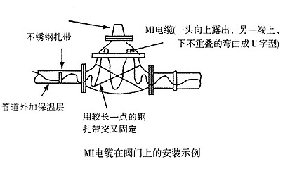 MI�ӟ���|�ܵ��y�T���bʾ���D