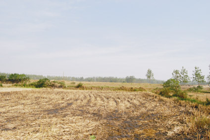 ʯ���ų��zַ